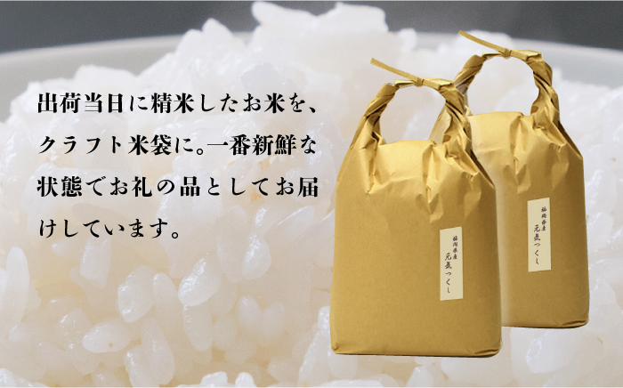 【先行予約】【全6回定期便】福岡県産【特A】評価のお米「元気つくし」5kg×2袋 [10kg] [白米]【2024年11月下旬以降順次発送】《築上町》【株式会社ベネフィス】 [ABDF116] 精米 米 ご飯 ごはん こめ コメ 158000円 15万8千円