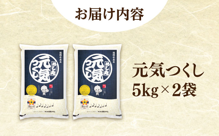 福岡元気つくし5kg×2袋《築上町》【株式会社オカベイ】 米 こめ ご飯