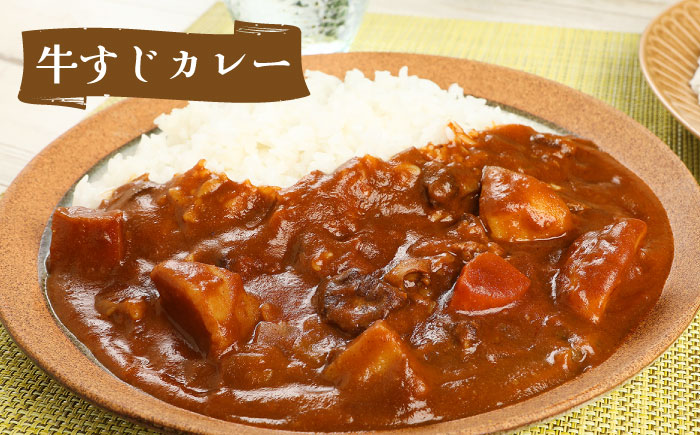 隊員食堂カレー（中辛２個・牛すじ２個）・お米600ｇセット《築上町》【NPO法人築上町観光協会】贈答 限定 レトルト 個包装 夢つくし [ABAX006]