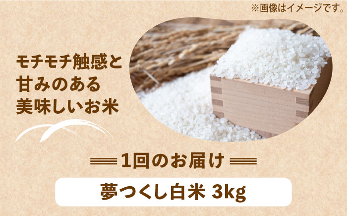 【全3回定期便】【令和6年産新米】【先行予約】 ひかりファーム の 夢つくし 3kg【2024年10月以降順次発送】《築上町》【ひかりファーム】 [ABAV033] 38000円 3万8千円