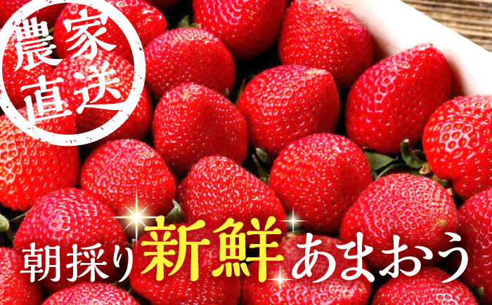 【全3回定期便】【2025年2月〜お届け】農家直送 朝採り新鮮いちご【博多あまおう】約270g×4パック《築上町》【株式会社H&Futures】 [ABDG006] 36000円  36000円 