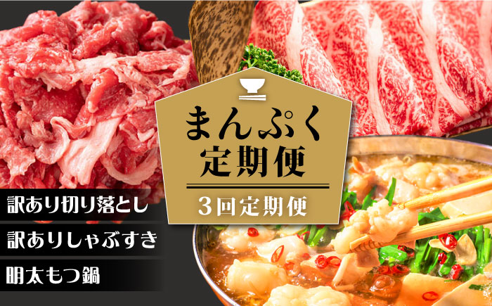 [3回定期便][大人数のご家庭に]まんぷく定期便[築上町][株式会社MEAT PLUS] [ABBP113] 160000円 16万円 160000円 16万円