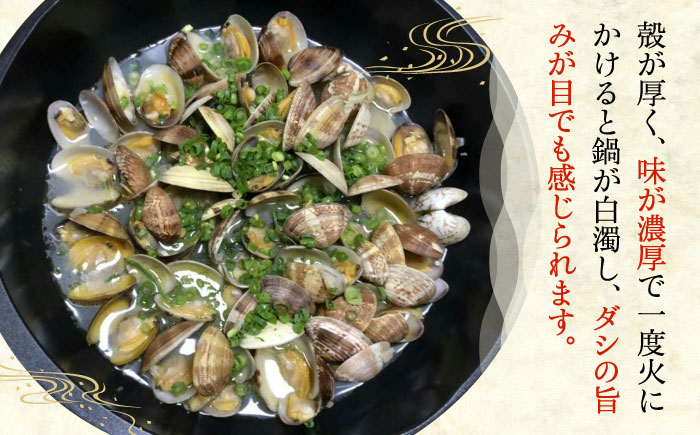 【令和6年4月頃発送予定】特産 椎田 あさり 1.5kg《築上町》【築上町蓄養殖部会】アサリ 活あさり 12000円 [ABAY002]