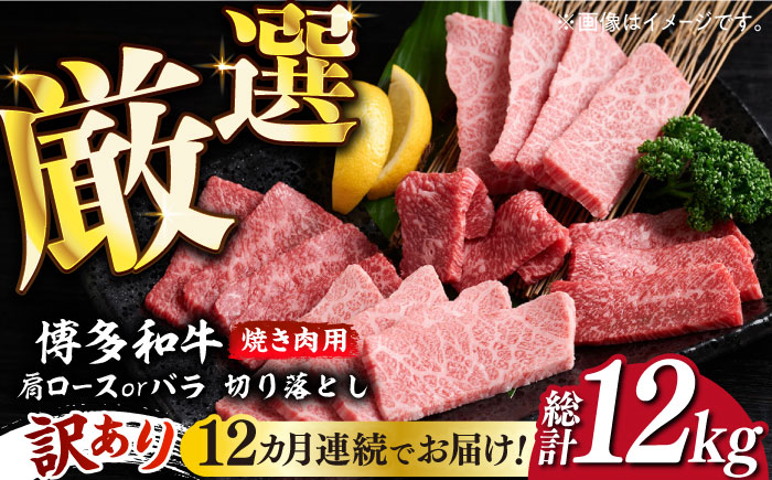 【全12回定期便】【訳あり】博多和牛 焼肉 切り落とし1kg（500g×2p）《築上町》【MEAT PLUS】肉 お肉 牛肉 [ABBP156] 240000円 24万円 240000円 24万円