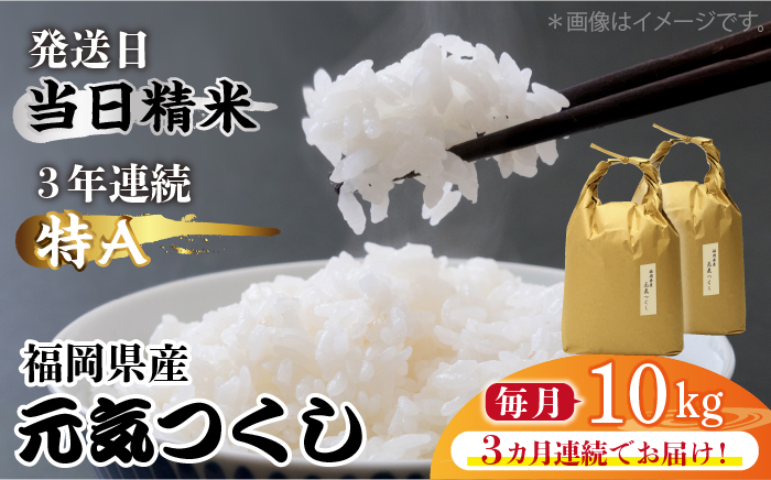 【先行予約】【全3回定期便】福岡県産【特A】評価のお米「元気つくし」5kg×2袋 [10kg] [白米]【2024年11月下旬以降順次発送】《築上町》【株式会社ベネフィス】 [ABDF115] 精米 米 ご飯 ごはん こめ コメ 79000円 7万9千円