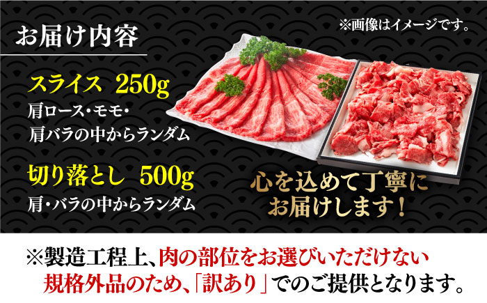 【訳あり】博多和牛 しゃぶしゃぶ すき焼き 750gセット《築上町》【株式会社MEAT PLUS】 [ABBP061] 10000円  10000円 