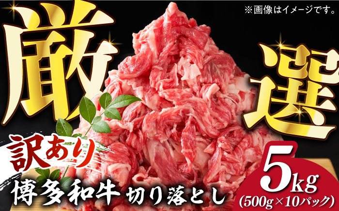 【訳あり】博多和牛 切り落とし 5kg(500g×10p）《築上町》【株式会社MEAT PLUS】 [ABBP066] 45000円  45000円 