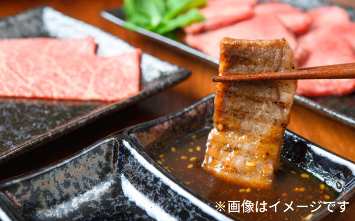 【和牛の旨味を堪能！】博多和牛 焼肉用 500g《築上町》【株式会社MEAT PLUS】 [ABBP012] 15000円  15000円 