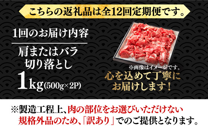 【全12回定期便】【たっぷり大容量！】博多和牛 切り落とし 1000g(500ｇ×2Ｐ）《築上町》【株式会社MEAT PLUS】 [ABBP029] 132000円  132000円 