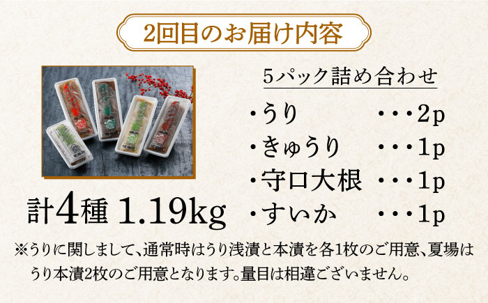 【交互にお届け！全2回定期便】奈良漬クリームチーズ 4種 × 奈良漬「琥珀神(こはくかんさ)」4種 1.19kg《築上町》【奈良漬さろん安部 / SALON DE AMBRE】奈良漬 奈良漬け チーズ [ABAE016]