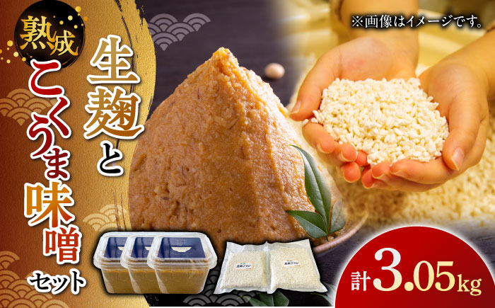 【季節限定】かみきい味噌　熟成こくうま味噌と生麹セット《築上町》【上城井ふれあい協議会　味噌部会】 味噌 みそ [ABDK003]