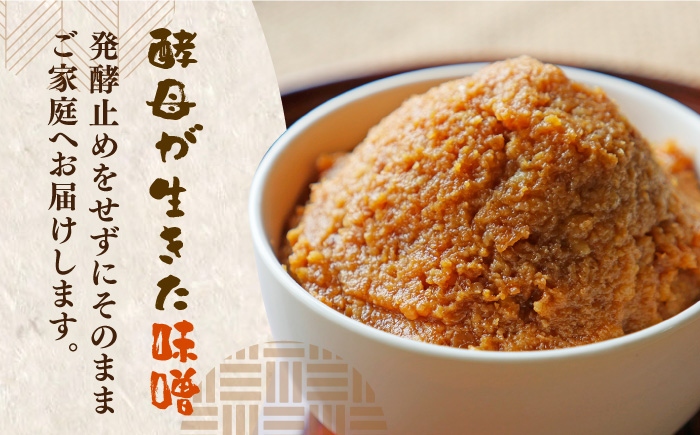 【令和6年10月発送予約】福みそ ( 米味噌 ) 1kg + 夢つくし 白米 3kg【まんがいいセット】《築上町》【安部味噌製造所】 [ABAF006] 12000円  12000円 