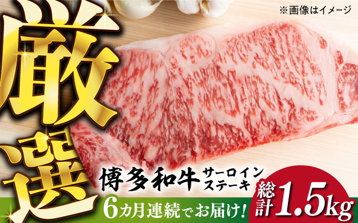 【全6回定期便】【厳選部位使用！】博多和牛サーロインステーキ250g×1枚《築上町》【株式会社MEAT PLUS】 [ABBP046] 66000円  66000円 