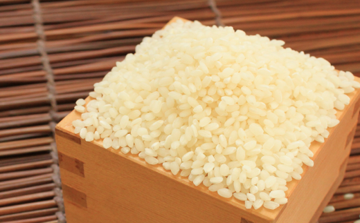 定期70-04【令和5年産新米予約】特別栽培米　夢つくし白米3kg定期便　全10回（Nouhan農繁）