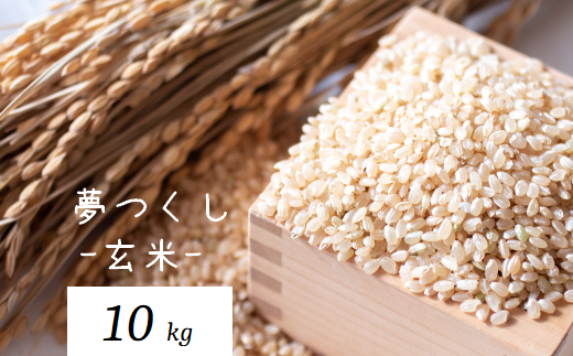 【先行予約・令和6年産新米】お米屋さんからお届けする「 夢つくし - 玄米 -」10kg《築上町》【末永商店】 [ABBW002] 15000円 15000円