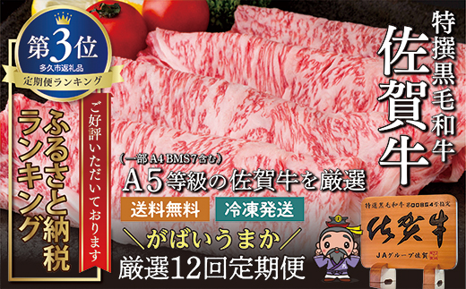 ｇ−２　肉の定期便　佐賀牛を毎月月替りで１２回お届け