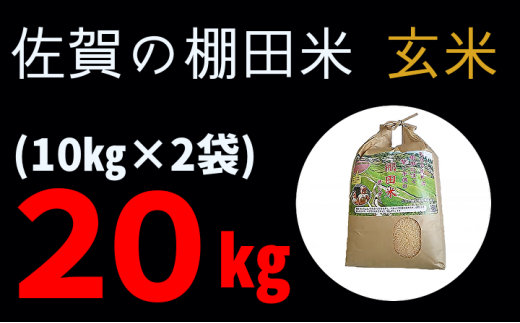 ｃ－８６ 棚田米 新米予約 （ 令和５年産 ） 夢しずく 玄米 10kg × 2袋