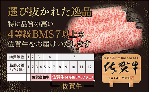 ｇ−２　肉の定期便　佐賀牛を毎月月替りで１２回お届け