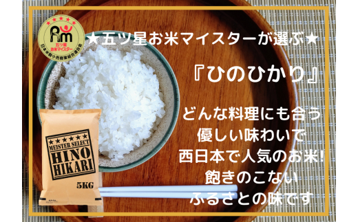 【無洗米】ヒノヒカリ５kg《マイスターセレクト》 B561