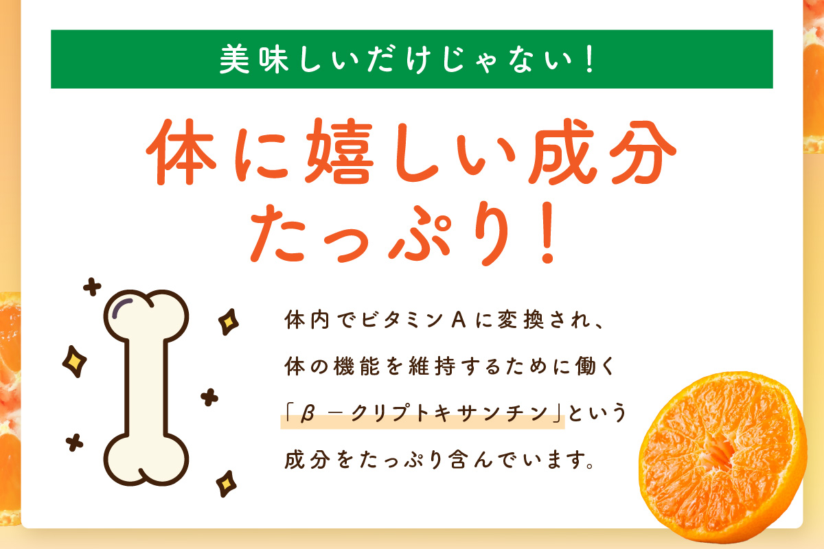 【佐賀県産温州みかん使用】 みかんジュース さがみかん100　1L×6本 果汁100% A042