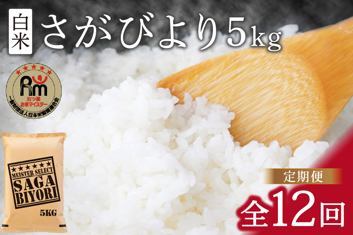 【11月から順次発送】 令和6年産 《マイスターセレクト》 さがびより【白米】 5kg×12回 B701