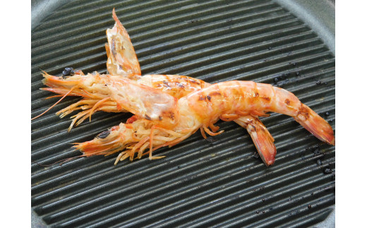 訳あり 夏海老のみそ漬け（食べやすいサイズ 車海老の味噌漬け） C168