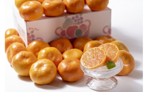 佐賀県産ハウスみかん2kg フルーツ 柑橘類 B385