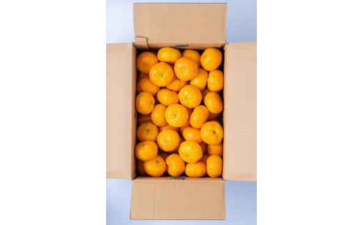 佐賀県産ハウスみかん5kg フルーツ 柑橘類 B387