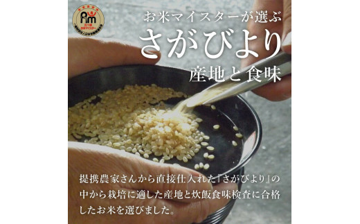 【定期便】《無洗米》さがびより５kg×１２回 B556