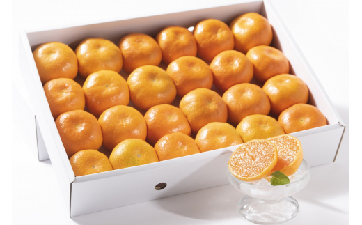 佐賀県産ハウスみかんギフト箱 フルーツ 柑橘類 B386