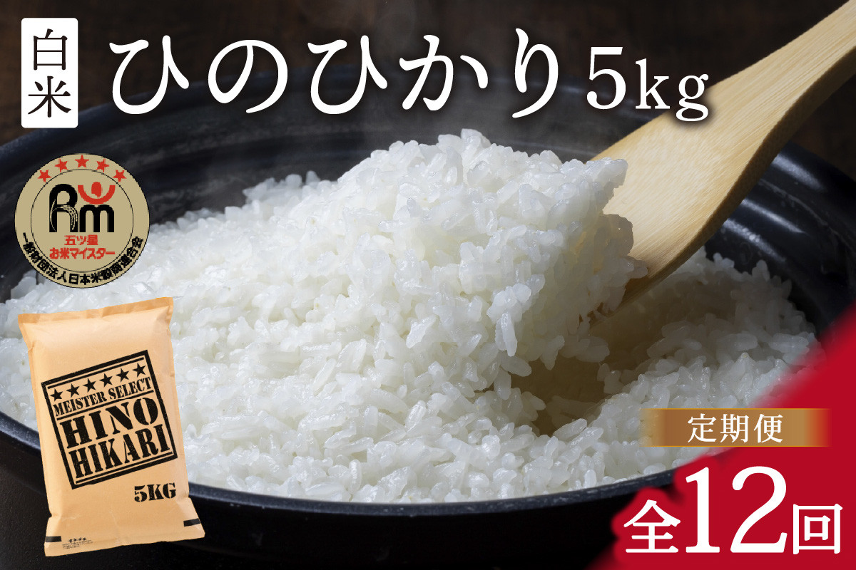 【10月下旬から順次発送】 令和6年産 【定期便】 ひのひかり 白米 ５kg×12回　B696