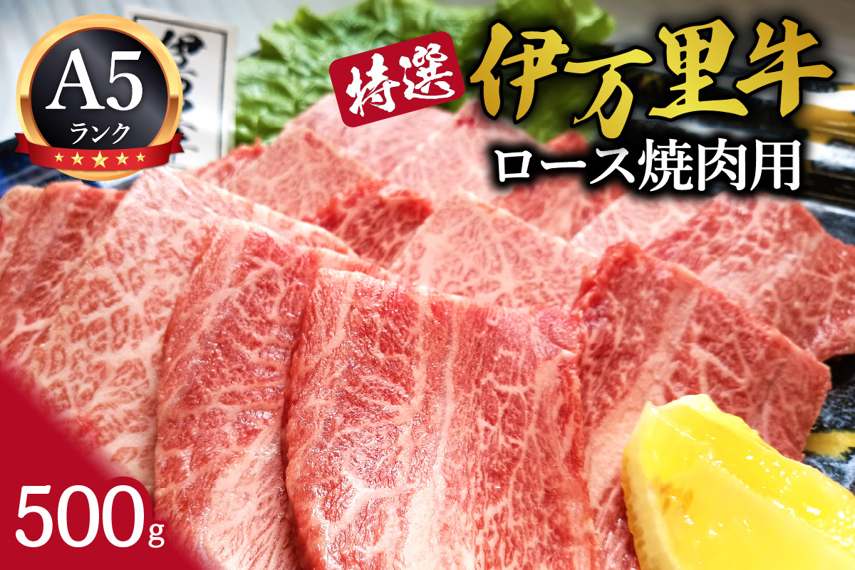 特選伊万里牛（A5）ロース焼肉用 500g J1100