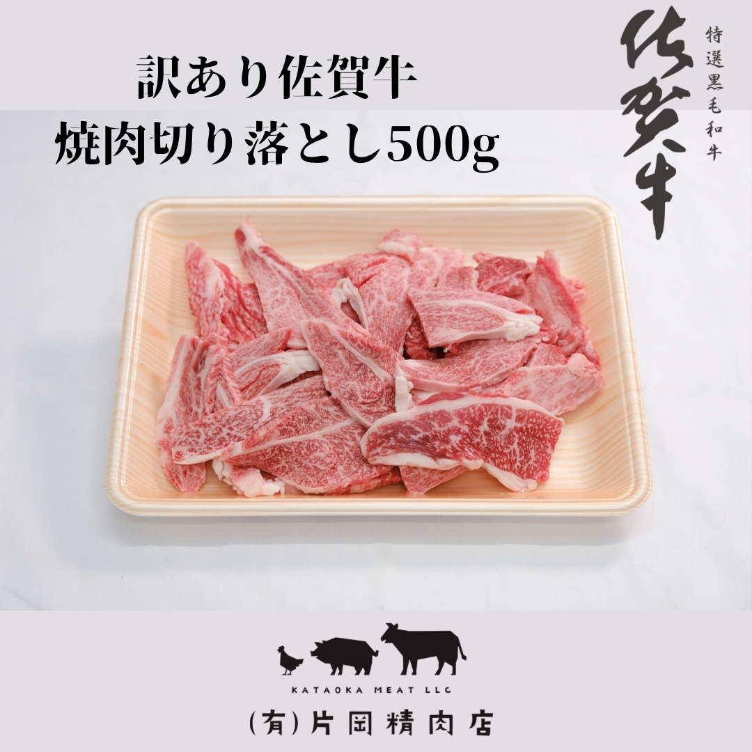 訳あり 佐賀牛 焼肉用切り落とし500g J1206