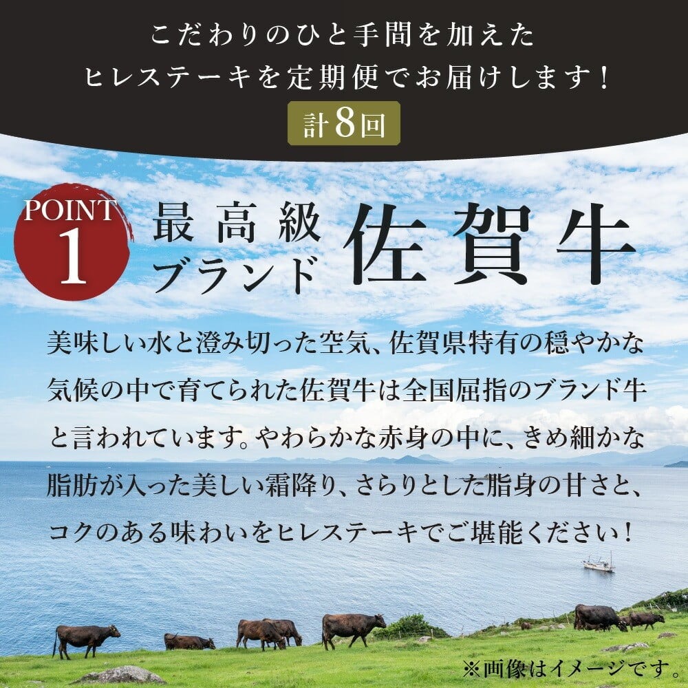 【全8回 定期便】佐賀牛 ヒレ ステーキ 総計7.2kg J413