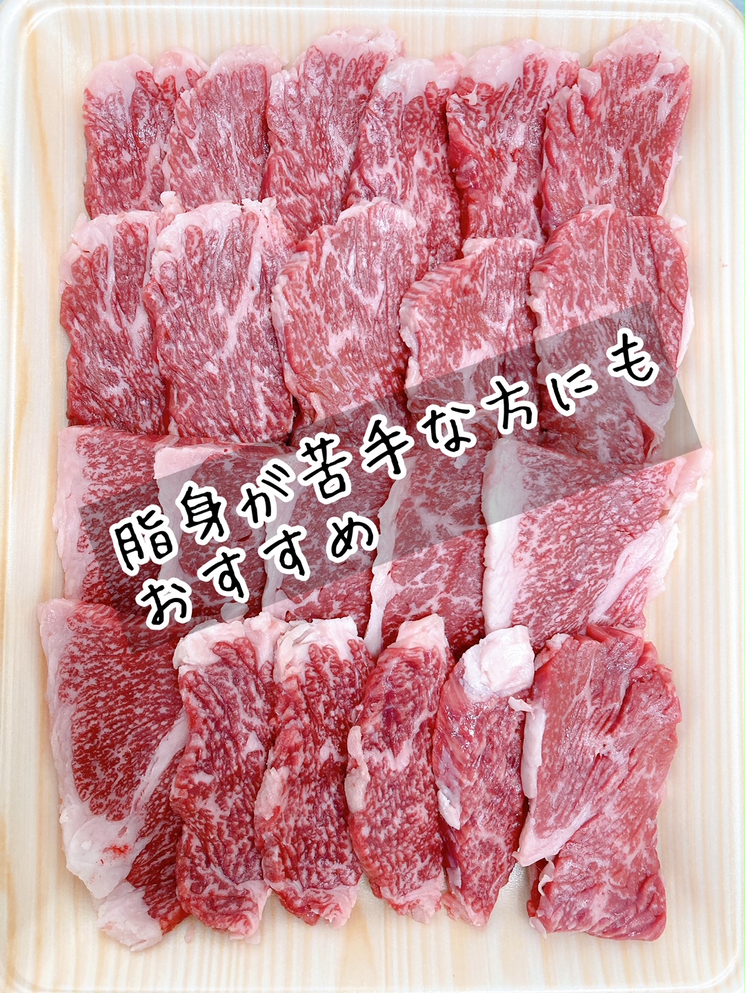 佐賀牛バラ焼肉500ｇ J708