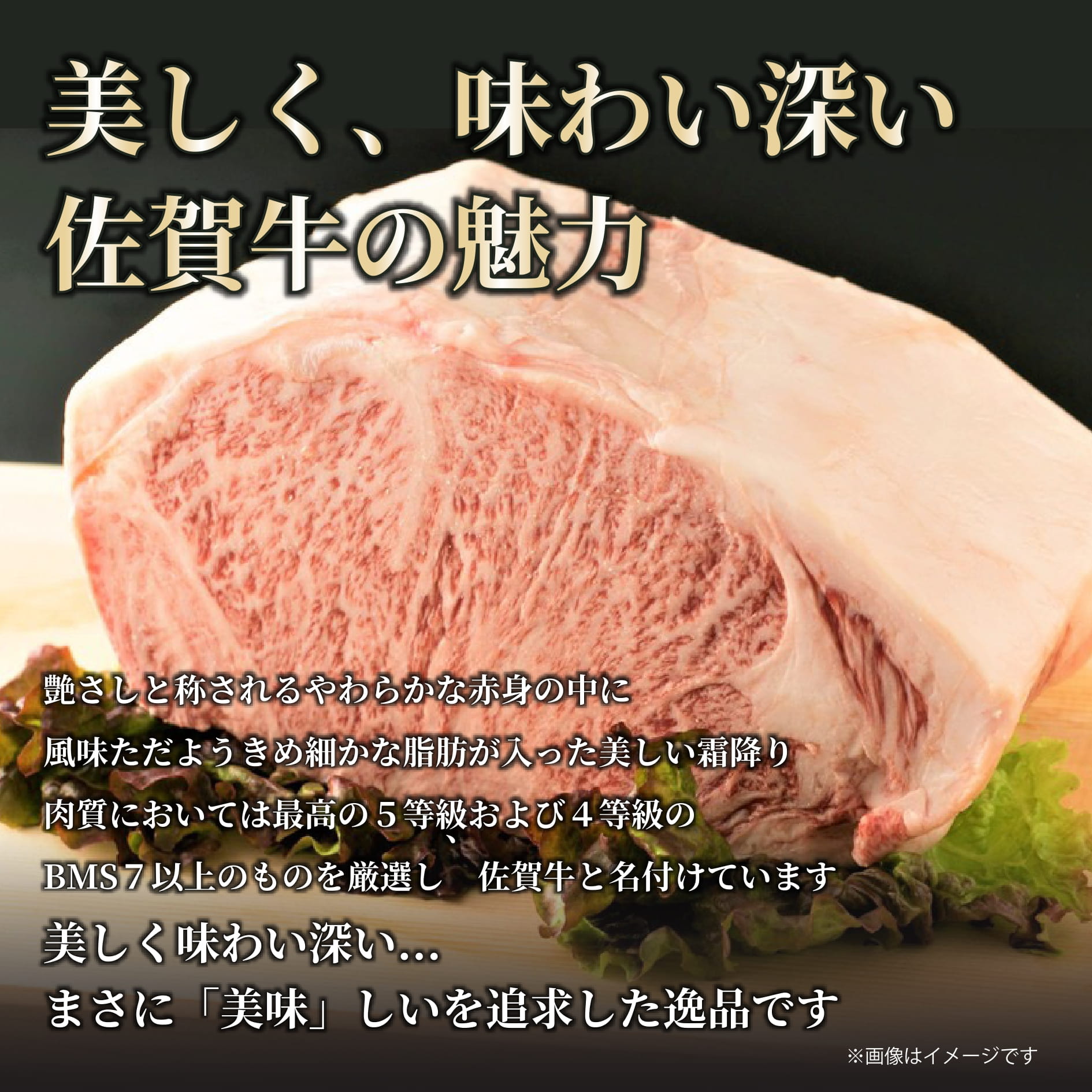 【 佐賀牛 】 艶さし！ サーロイン ステーキ セット　500ｇ（250ｇ×2枚） J1054