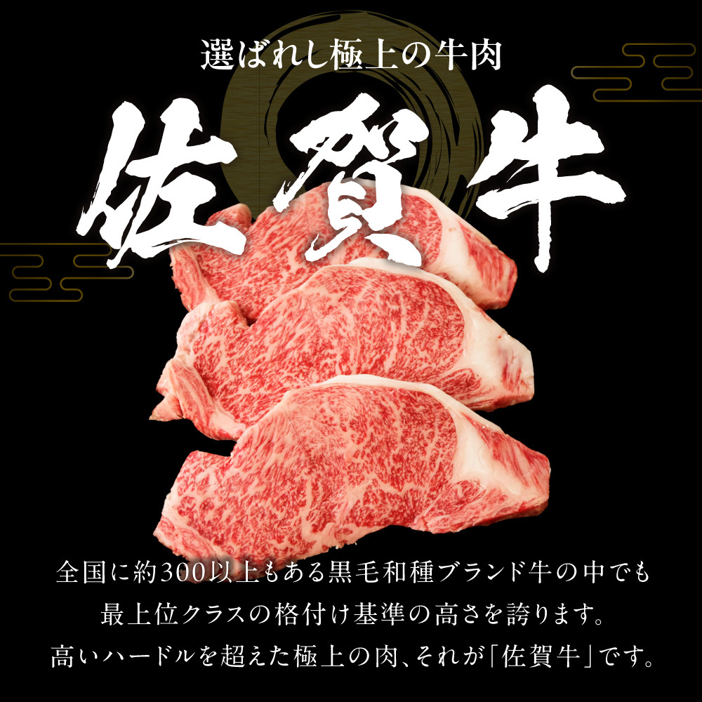 訳あり！艶さし！佐賀牛焼肉切り落とし　500ｇ J853