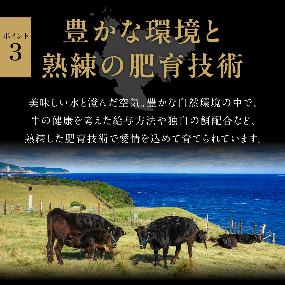 訳あり！艶さし！佐賀牛焼肉切り落とし　500ｇ J853