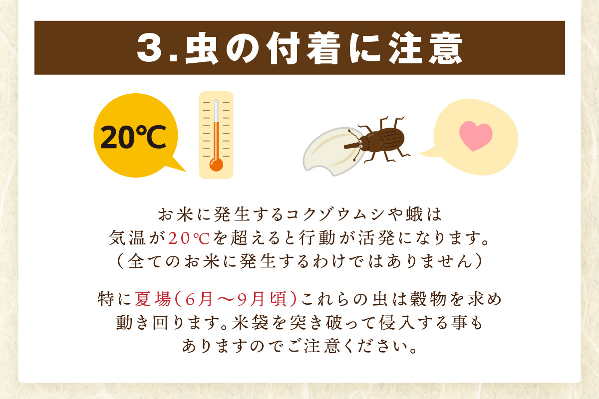 令和6年産 《マイスターセレクト》 夢しずく 【白米】 5kg　B680