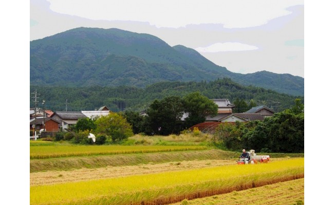 【令和6年産新米予約】ひとみちゃんちの「さがびより」10kg B101