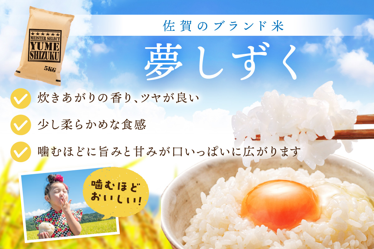 【11月から順次発送】 令和6年産 《無洗米》 食べ比べ さがびより ＆ 夢しずく 白米 各5kg（計10㎏） B690