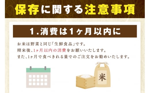 【11月から順次発送】 令和6年産 《無洗米》 食べ比べ さがびより ＆ 夢しずく 白米 各5kg（計10㎏） B690