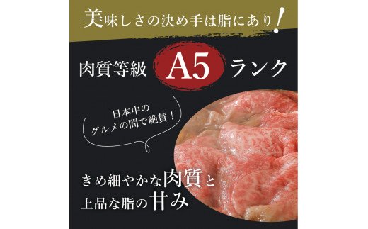 伊万里牛 A5等級 かた薄切り700g すき焼き 焼肉 しゃぶしゃぶ J007