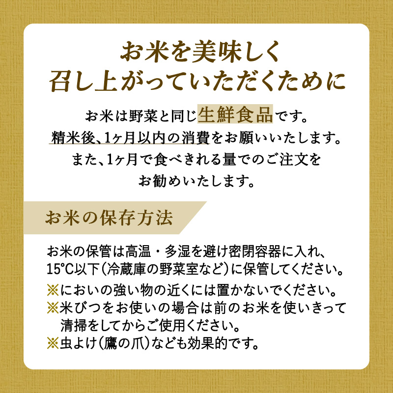 【11月から順次発送】 令和6年産 《マイスターセレクト》 さがびより【玄米】 5kg 【特A評価】 B687