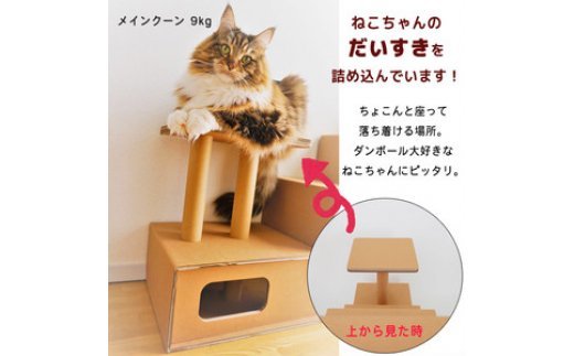 【ペット遊具】おもちゃ キャットタワー 猫用 ネコ N142