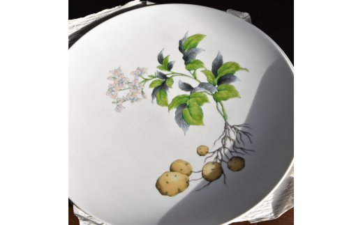 【伊万里焼】プレート 平皿 Potatoes φ29cm Plate H833
