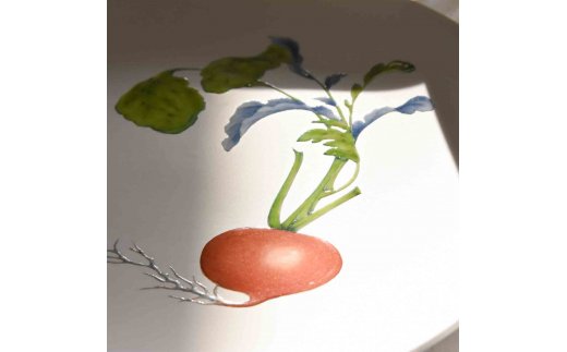 【伊万里焼】プレート 平皿 Red turnip φ29cm Plate H834