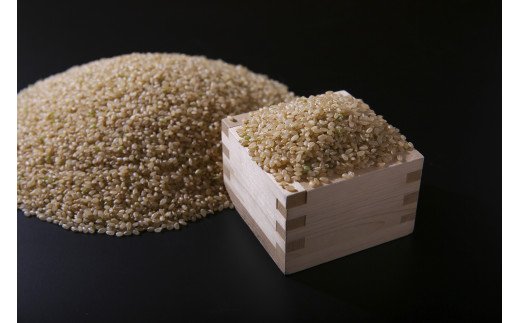 佐賀県産ゆめしずく（特A） 白米4.5kgと玄米５kg B301