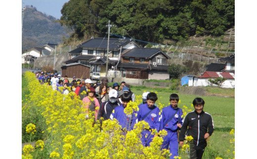 波多津の町おこしに参加ください！【思いやり型返礼品（協賛型）】 O003