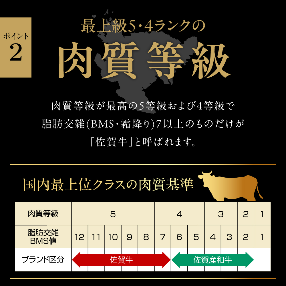 A5 A4 佐賀牛 切り落とし 1kg J566